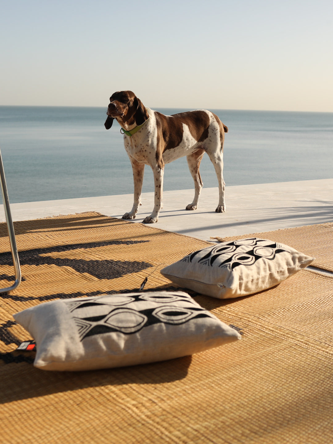 Cushion cover HOUT