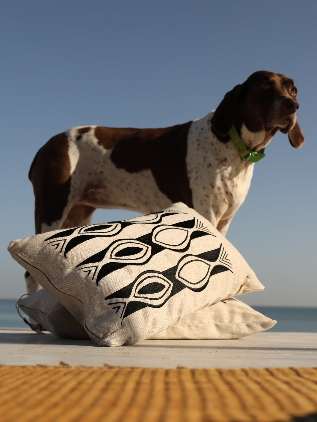 Cushion cover HOUT